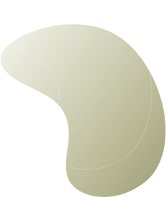 https://www.hasteninfotech.com/wp-content/uploads/2020/08/floating_image_08.png